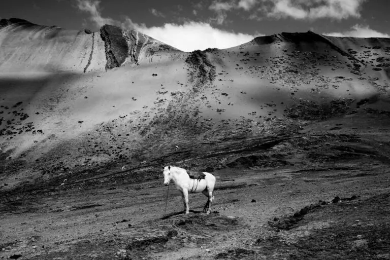 Communication Agency Dyscern.